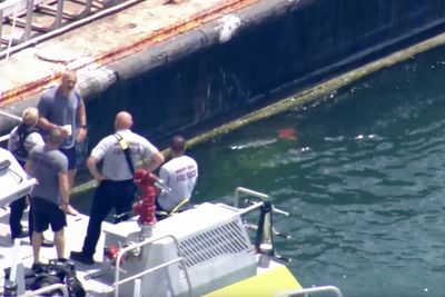 Third child dies nearly a week after a boat collision near Miami, Coast Guard says