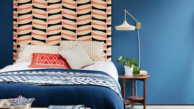 Trust me, houseplants will brighten up your college dorm room instantly – and these 5 won't mind being neglected while you're busy studying