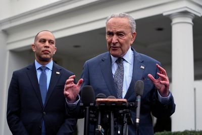 Democrats see their party as ‘weak and ineffective’ in fighting Trump, damning new poll finds