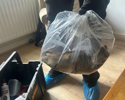 ‘Cat-sized’ rat found in Teesside town puts focus on pest control cuts