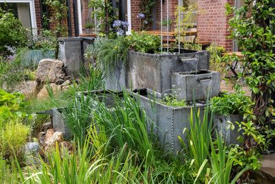 Garden opens to promote natural measures that boost flood resilience