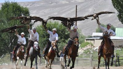 Eagles, archery and horseback stunts wow crowds at Kyrgyzstan's Salbuurun Festival