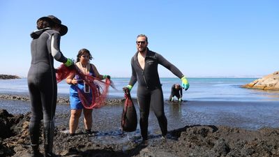 Pacific algae invade Algerian beaches, pushing humans and fish away