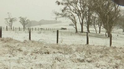 WATCH: Weekend of wild weather brings rare snowfall to towns in Australia
