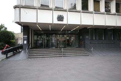Teenager, 17, detained for ‘sadistic’ torture and killing of two kittens