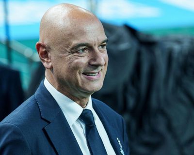 Tottenham fans will only appreciate me when I am gone, says Daniel Levy