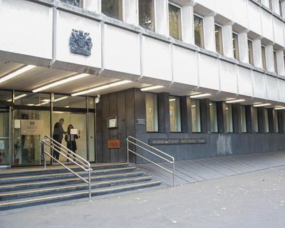 Two teenagers detained over ‘sadistic’ torture and killing of two kittens in London