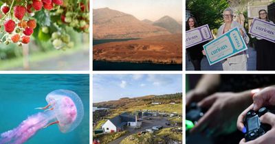 From strawberries to Eigg, here's your latest dose of good news from Scotland