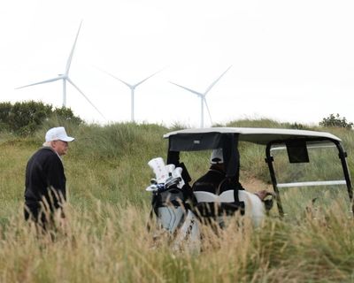 To compare Donald Trump to Teddy Roosevelt on nature protection is absurd