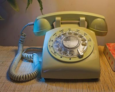 Dial N for nostalgia: landlines are back