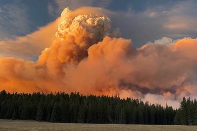 Grand Canyon ‘megafire’ timelapse shows rare fire cloud forming