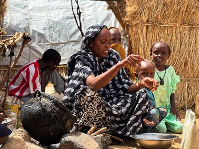 ‘We’re suffering’: People in Sudan’s el-Fasher eat animal fodder to survive