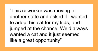 Manipulative Boyfriend Tries Forcing GF To Give Up Her Cat, She Quits The Relationship Instead