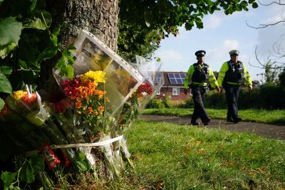 Domestic abusers to be banned from owning guns after string of shootings