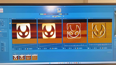 Silksong fan uses electrons to draw the 'world's smallest Hornet', which is 'about 1/5 the width of a strand of silk', '2 bacteria long', and '8,000 times smaller' than the actual insect