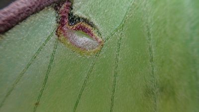 I took this picture with the “basic” OM System Tough TG-7, and it highlights a key feature of this compact camera that no one is talking about