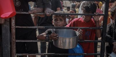 Soaring food prices prove the Gaza famine is real – and will affect generations to come