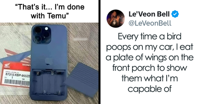 125 Hilarious Tweets From July That Slapped Harder Than A Mosquito Bite