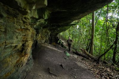 Gabon Forest Cave Reveals Clues About Prehistoric Central Africa