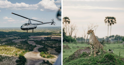 My 33 Reasons The Okavango Delta Might Be The Most Beautiful Place On Earth