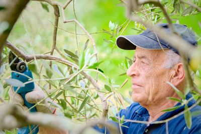 A professional gardener’s guide to summer pruning