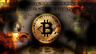 Man Who Lost 8,000 Bitcoin Now Worth $900 Million Wants To Tokenize Entire Wallet In Bid To Assert Claim On Dumped Fortune