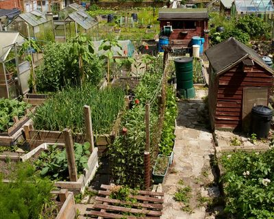 Jeremy Corbyn warns rules on council asset sales threaten allotments