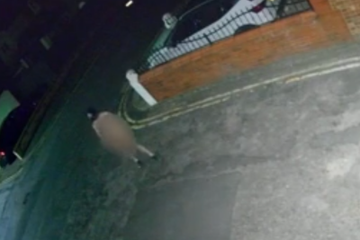 Watch: ‘Concerning’ video of masked naked man walking street at night investigated by police