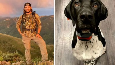Dog Saves Hunting Guide After Horrific UTV Crash, 11-Hour Crawl Through Mountains Ensues
