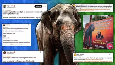 हाथी महादेवी के बहाने पीआर का नया अवतार: यह पशु प्रेम है या वनतारा प्रेम?