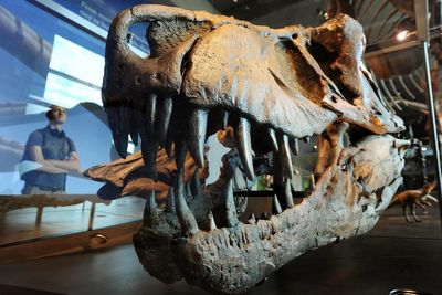 New research changes what we know about dinosaur predators