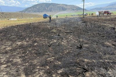 A bird dropped a fish on power lines and sparked a brush fire in Canada, firefighters say
