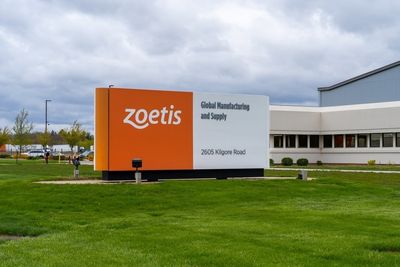 Zoetis Lifts Outlook As Companion Animal Portfolio Offsets Librela Decline