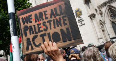 Peer urged UK ministers to crack down on Palestine Action at request of US arms firm
