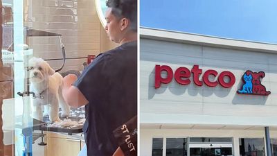 ‘I would be in jail’: Woman takes dog to Petco for grooming. Then she catches them doing this to her dog