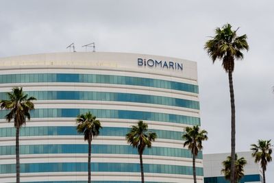 BioMarin Discontinues Preclinical Drug Candidate, Advances BMN 333 Toward 2030
