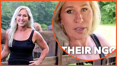 ‘The $10,000 belt-fed beast’: Logic dodger Marjorie Taylor Greene is hosting a rifle giveaway to, like, make America safer