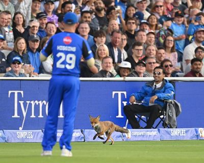The Hundred returns with star names, tech titans and an intruder who thrilled Lord’s