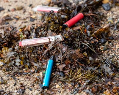 Increase in vapes found on Britain’s coastline by beach clean volunteers