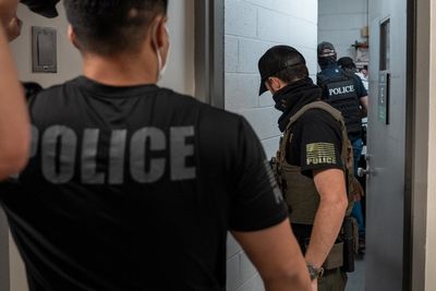 More than 100 human rights abuses discovered in immigration detention since Trump took office, senate probe says