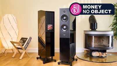 These glossy high-end tower speakers boast a 3.5-way design to bring the bass and cost as much as a full-size sedan