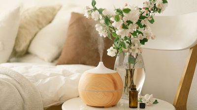 The secret to a great-smelling home — 5 easy tips you're probably not doing
