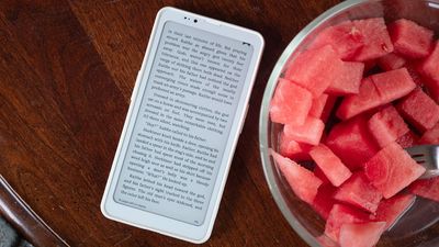 This E Ink Android phone is the Kindle phone I've always wanted