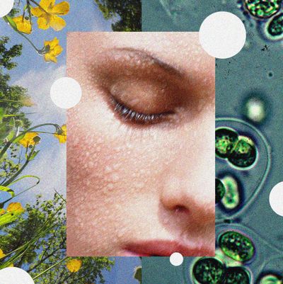 Can We Stop Hating on Chemicals In Skincare, Please and Thanks?