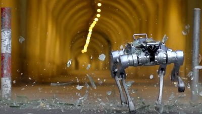 The wild quadruped robot scrambles down hills, through glass, and you can stand on it