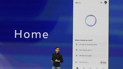German government urged to start proper supervision of AI