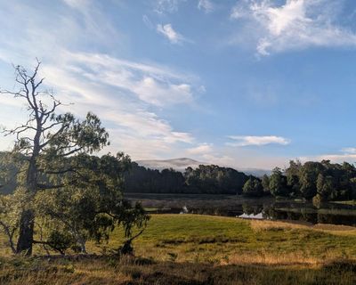 Country diary: I could stay at this loch all day