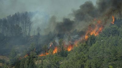 Wildfire in southern France kills woman and forces mass evacuations