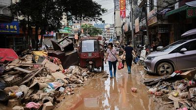 China comes down hard on chikungunya virus outbreak