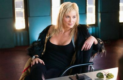 Sharon Stone doesn't think Basic Instinct brought her 'respect'